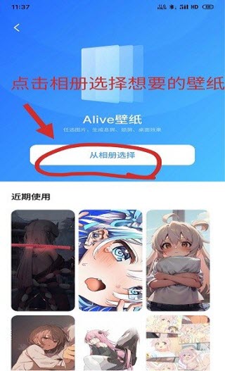 alive壁紙最新版高清大圖